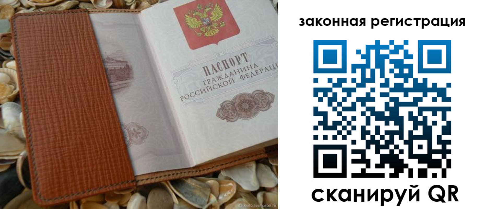 прописка паспорт в Гатчине