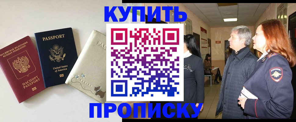 где прописаться в Гатчине